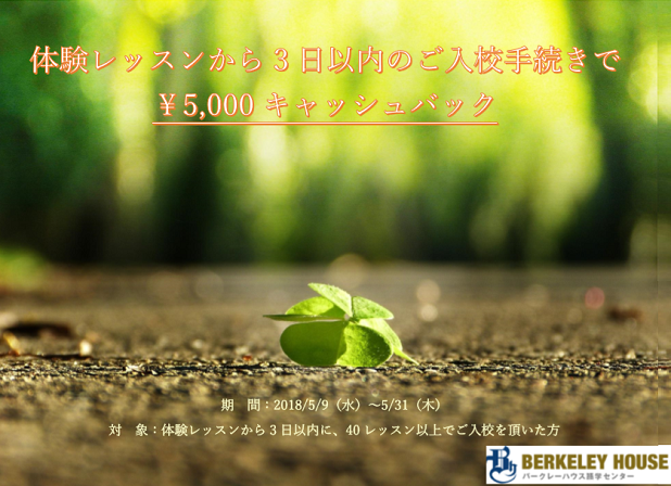 5月 キャンペーン