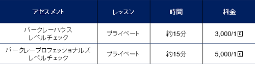 アセスメント