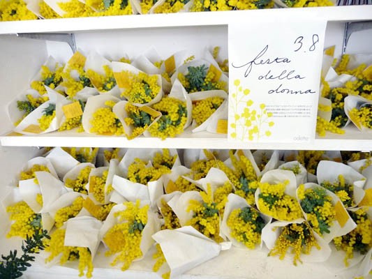黄色い花はNG
