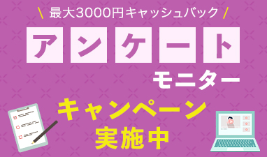 アンケートモニターキャンペーン