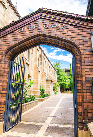 ノートルダム大学