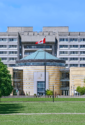 ヨーク大学